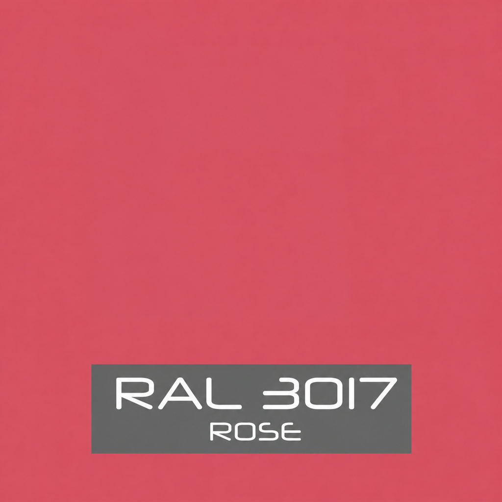 RAL 3017 Rose 400ml Spray Paint Aerosol