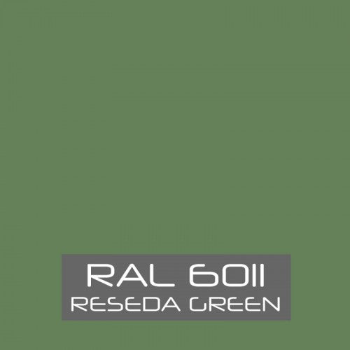RAL 6011 Reseda Green Spray Paint 400ml Aerosol