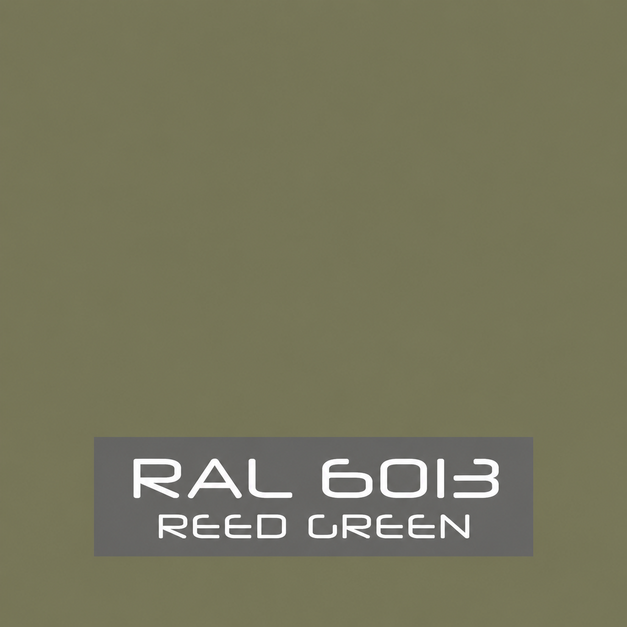 RAL 6013 Reed Green Spray Paint 400ml Aerosol