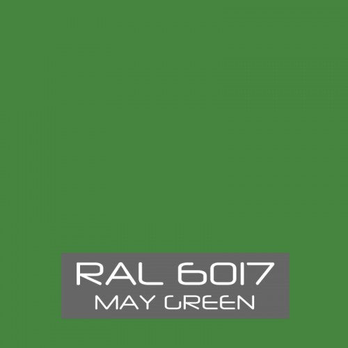 RAL 6017 May Green Spray Paint 400ml Aerosol