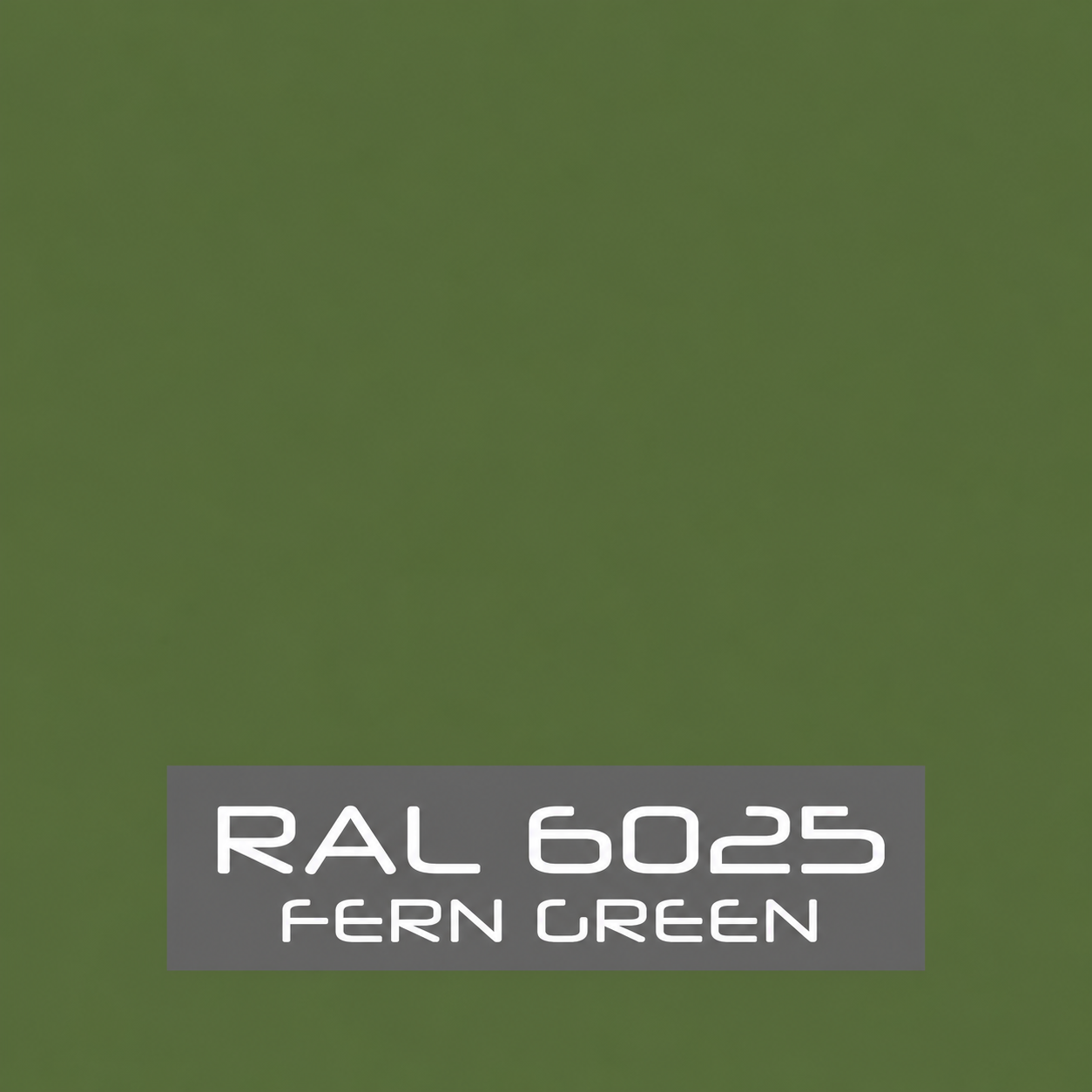 RAL 6025 Fern Green Spray Paint 400ml Aerosol