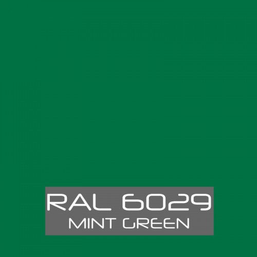 RAL 6029 Mint Green Spray Paint 400ml Aerosol