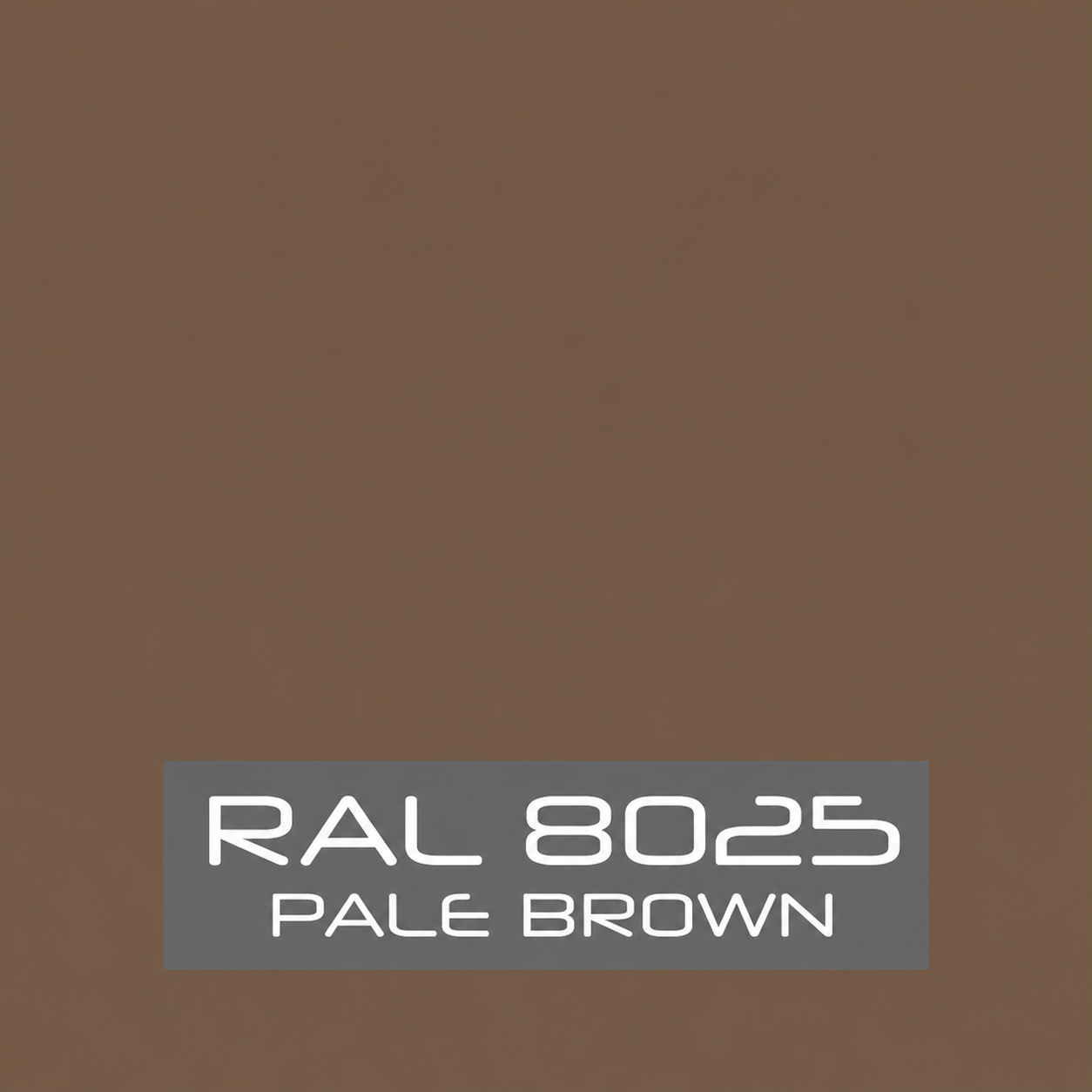 RAL 8025 Pale Brown Spray Paint 400ml Aerosol